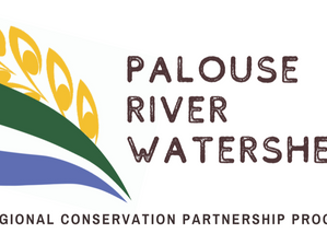 Now Accepting RCPP Palouse River Watershed Applications