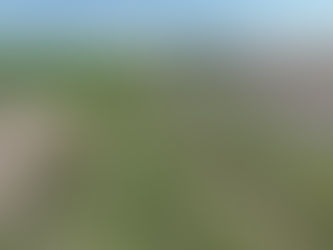 A row of plantings along a stream.