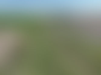 A row of plantings along a stream.