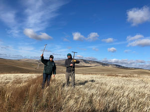 Two people pose with soil sampling equipment in a wheat field.