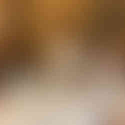 La Cabaña Pottery & Plants