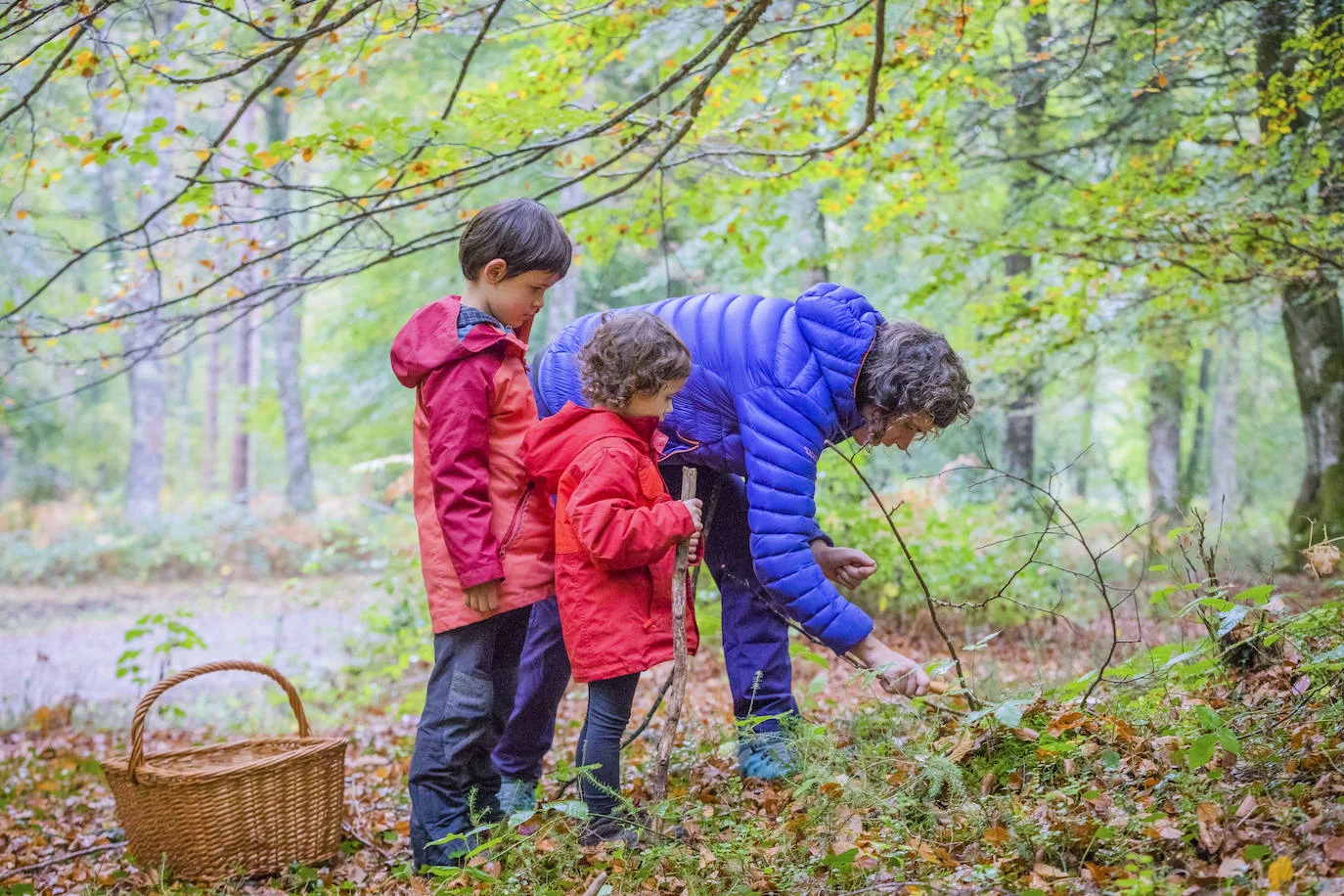 Micología en Gorbeia