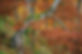 Nationalpark_08.jpg