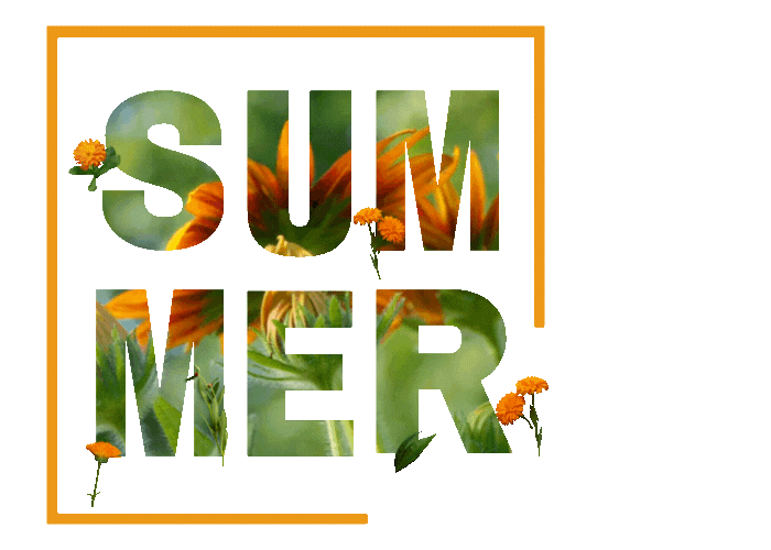 Summer Vibes - Rabatte