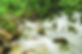 Nationalpark_02.jpg