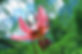Nationalpark_04.jpg