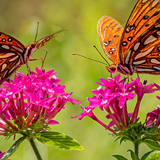 Screenshot 2025-12-03 at 12.02.00 pm.png