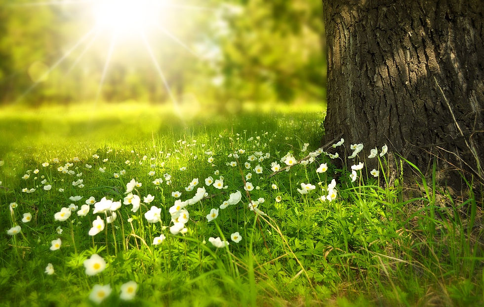 Rest as a radical remedy