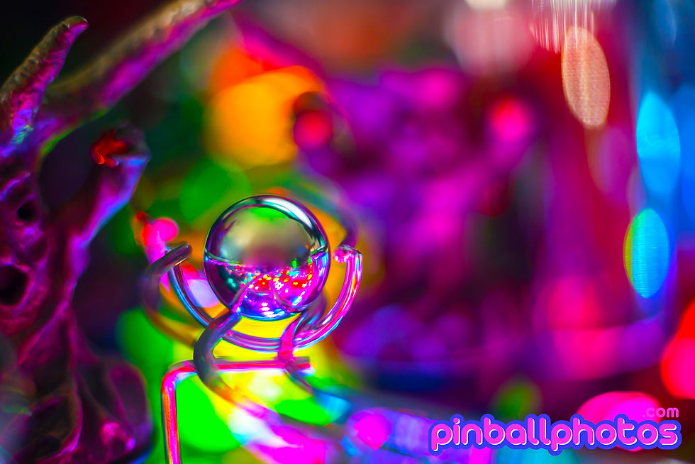 PPHOTOS_PF06