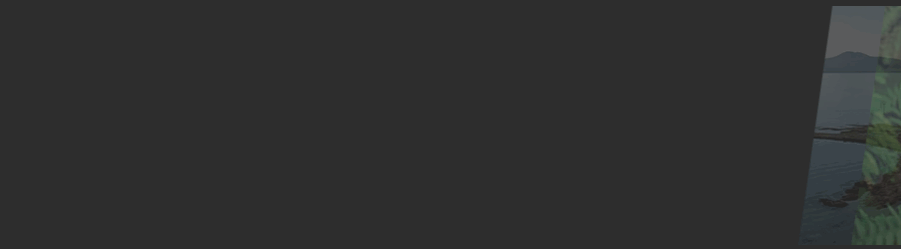 WebsiteScroll25.gif
