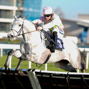 Résultats aux courses du mois de Janvier