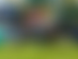 Résultats aux courses du mois de Mai