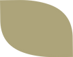 Création de logo