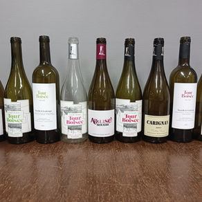 Dégustation Château La Tour Boisée : vins AOC Minervois et IGP Coteaux de Peyriac à découvrir