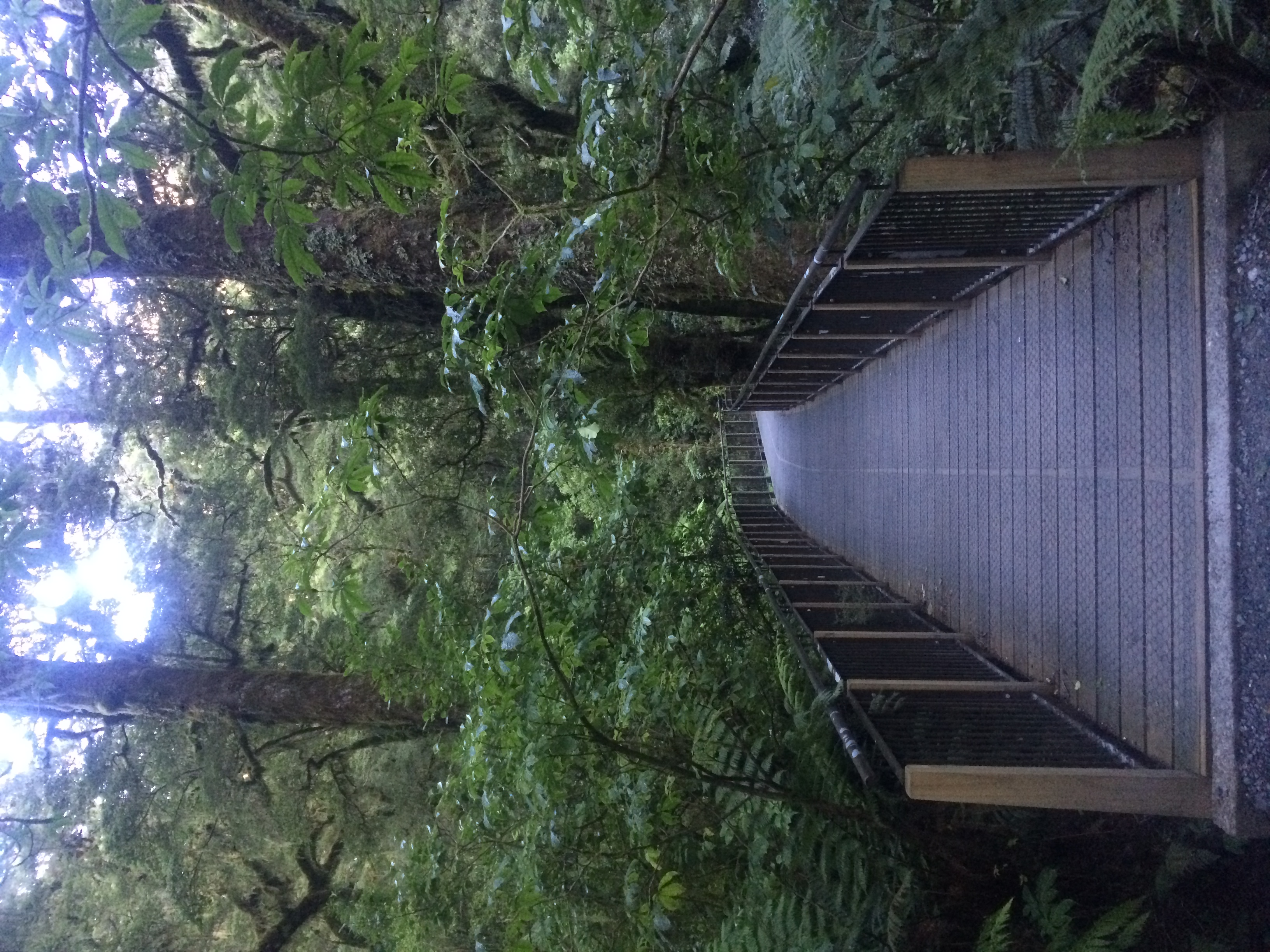 Punakaiki