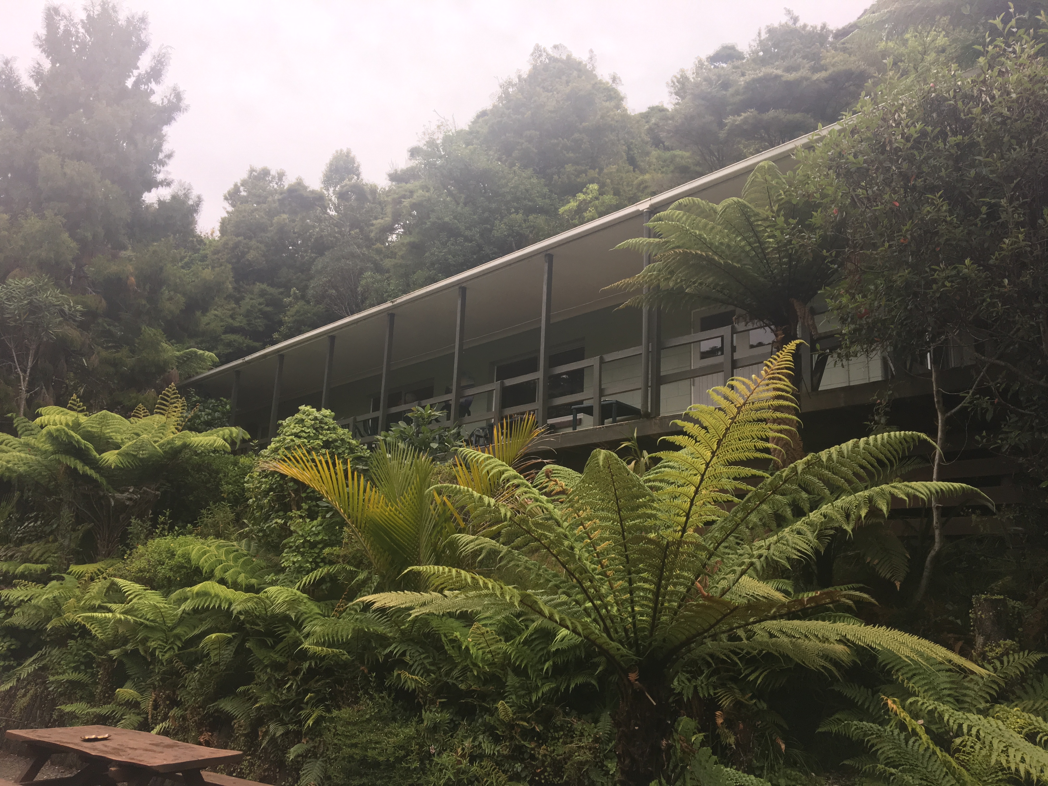 Te Nikau Retreat