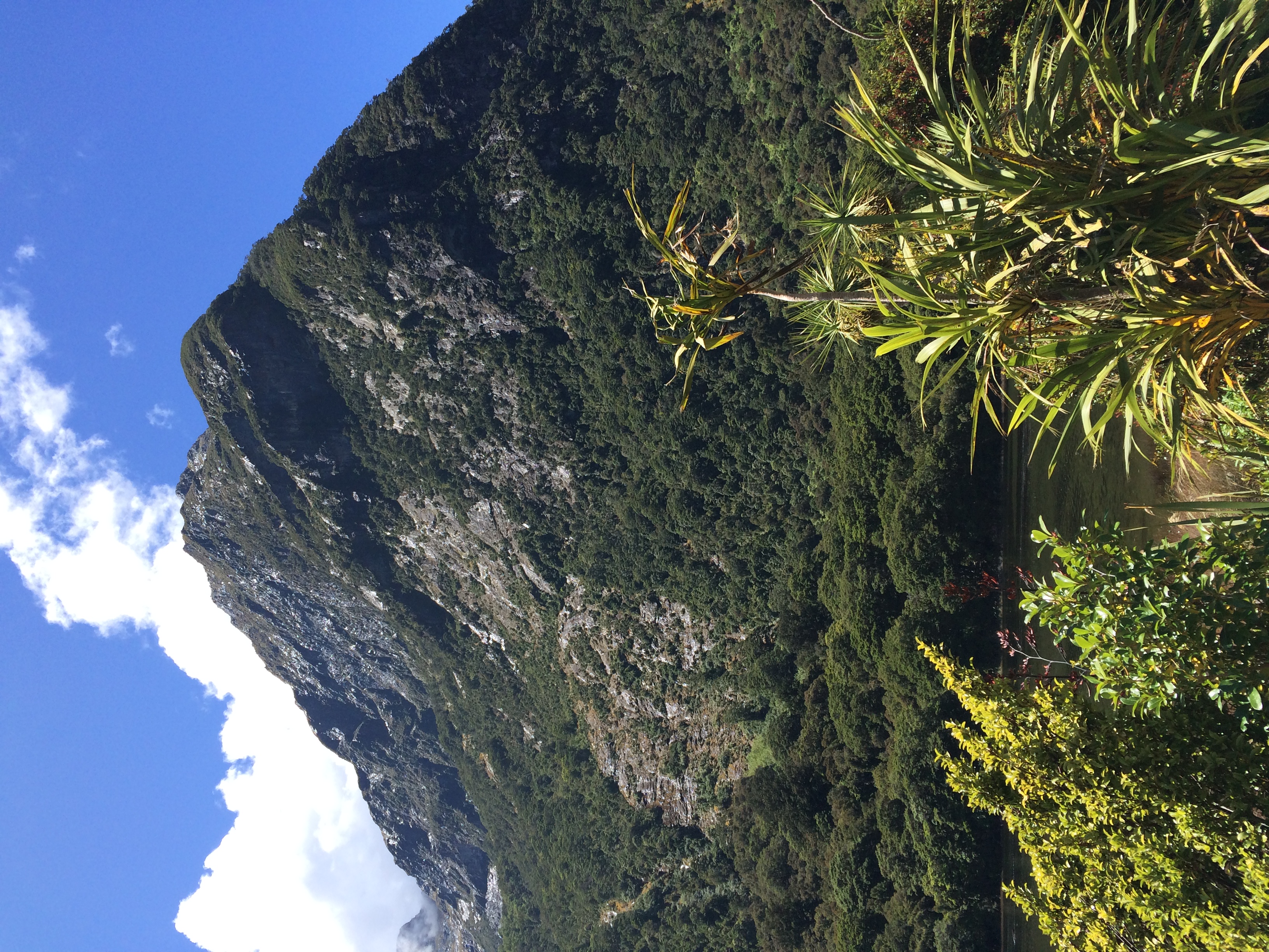Milford Sound
