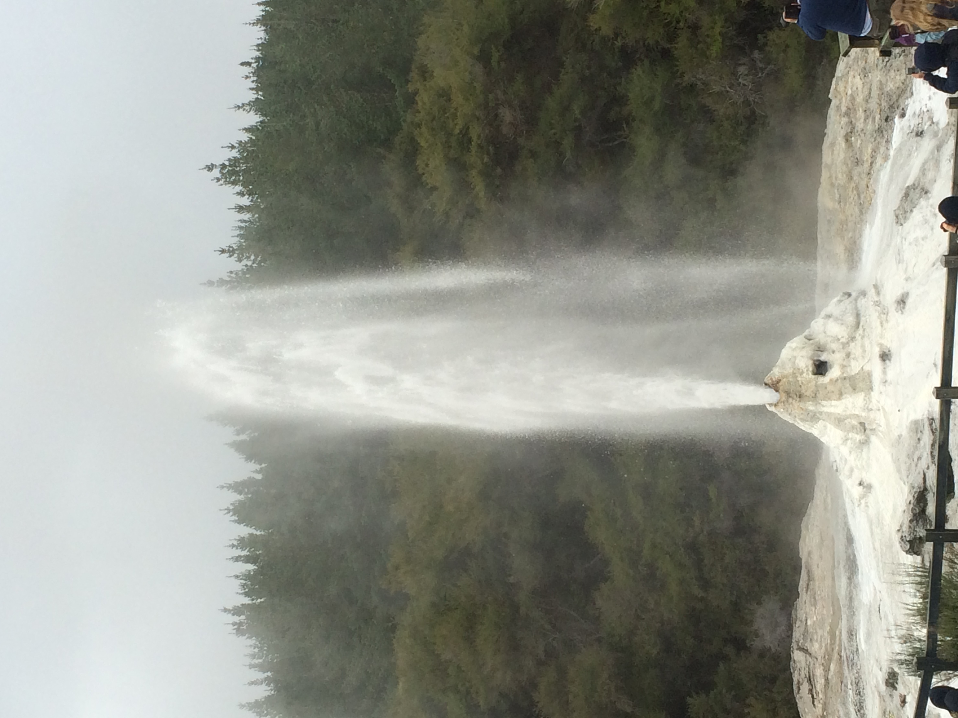 Lady Knox Geyser