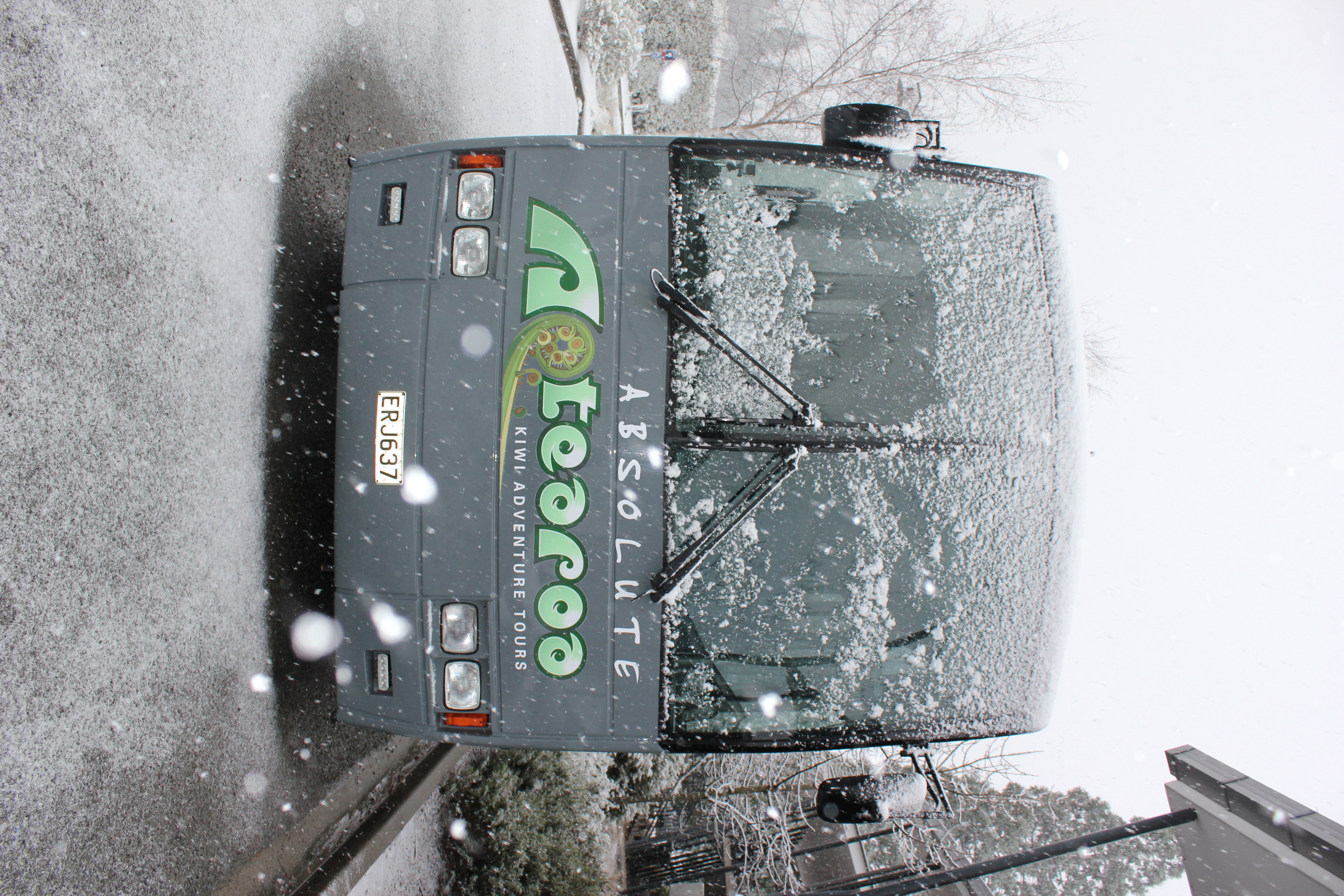Caught in the snow!