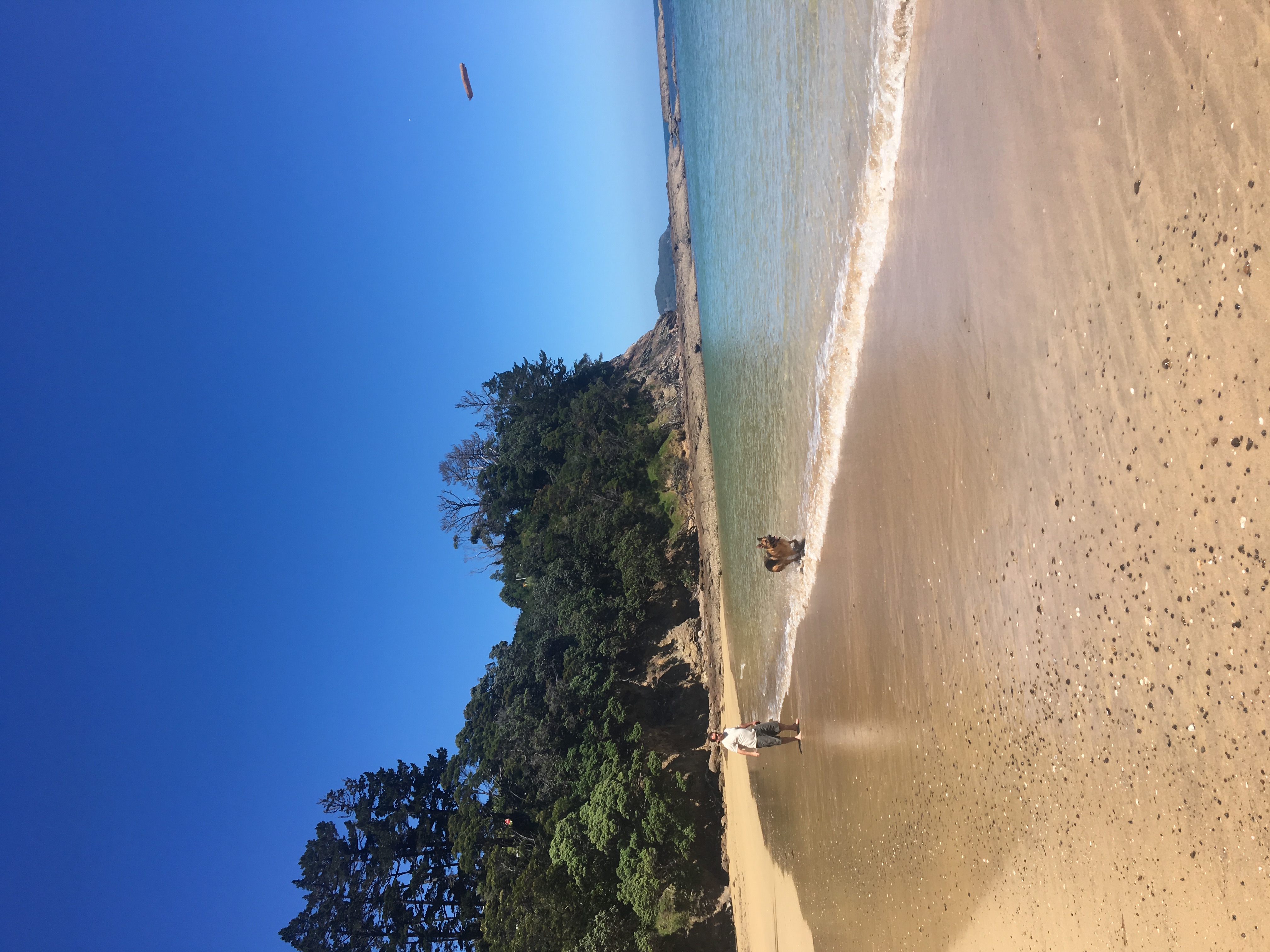 Waitete Bay