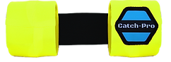Progression band Transparnet 2 Updated_edited.png