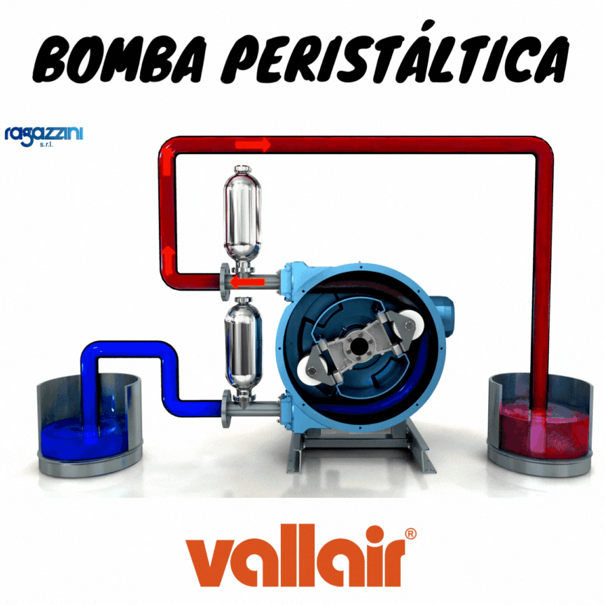 bomba peristaltica