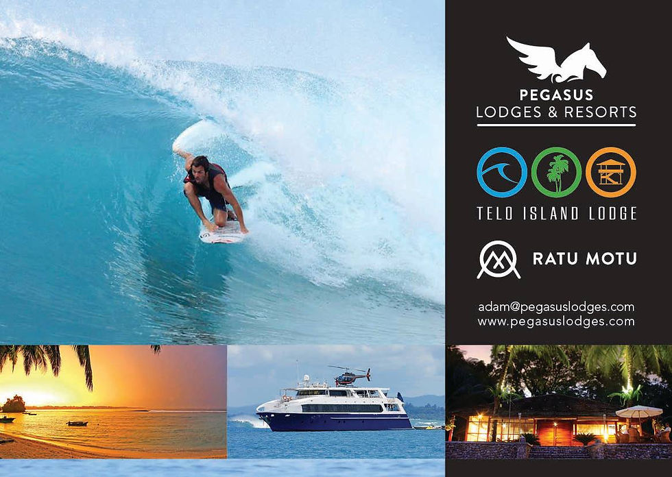 SURF RESORT DESIGN BUSINESS