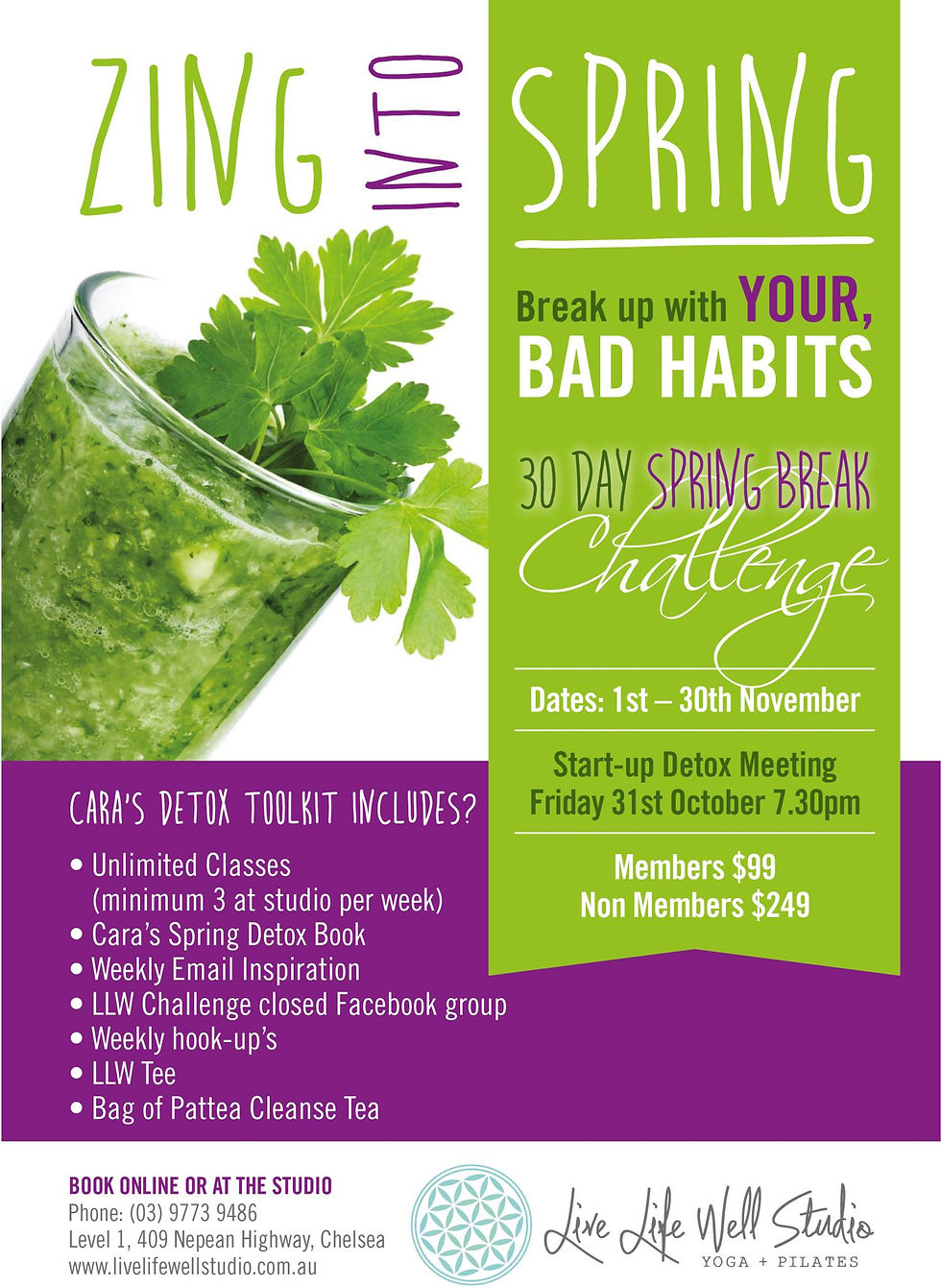 HEALTHY FLYER