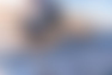 Effective Commercial Roofing Maintenance Tips for Longevity