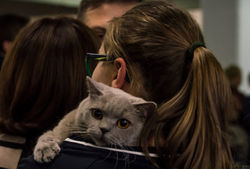 saori stella di ghelas worldcat genova 2016 con iri