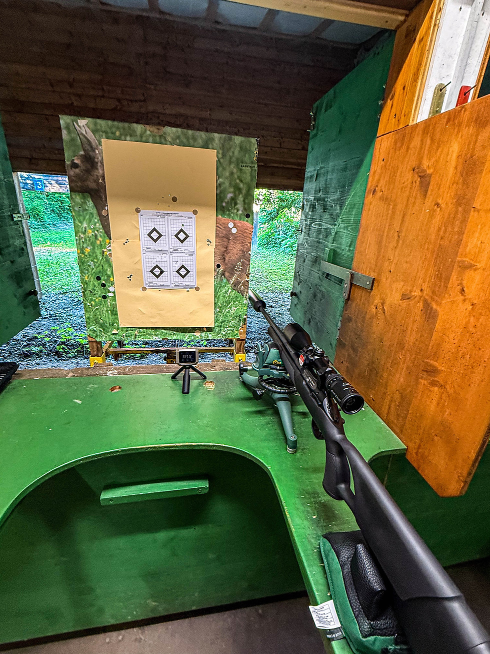 Miniaturbild: Jungjäger-Set: Sabatti Saphire Synthetik .308 Win. jagdfertig montiert