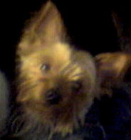 Picture008_6.jpeg