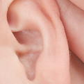 Gros plan d'une oreille