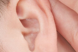 Human Ear Closeup