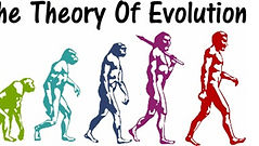 Theory of D’evil-ution
