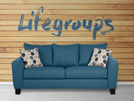 August 12 | new Lifegroup semester