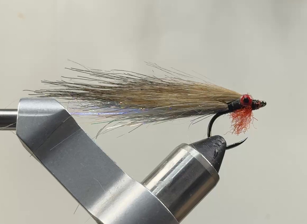 Thumbnail: Shimmer Minnow with Lead Eyes