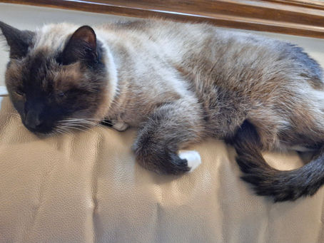 Missing - on Bonfire Night