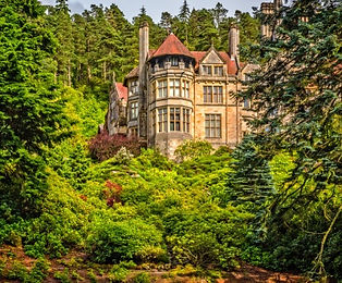 Cragside-7669-Edit_1.jpeg