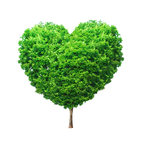 Untitled design (5).png