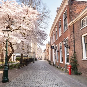 Leiden - Stad van Ontdekkingen