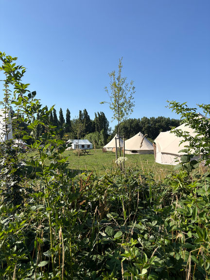 Kamperen in Leiden, Glamping, Natuurhuisje, Kamperen in de natuur, er even uit, dicht bij het strand