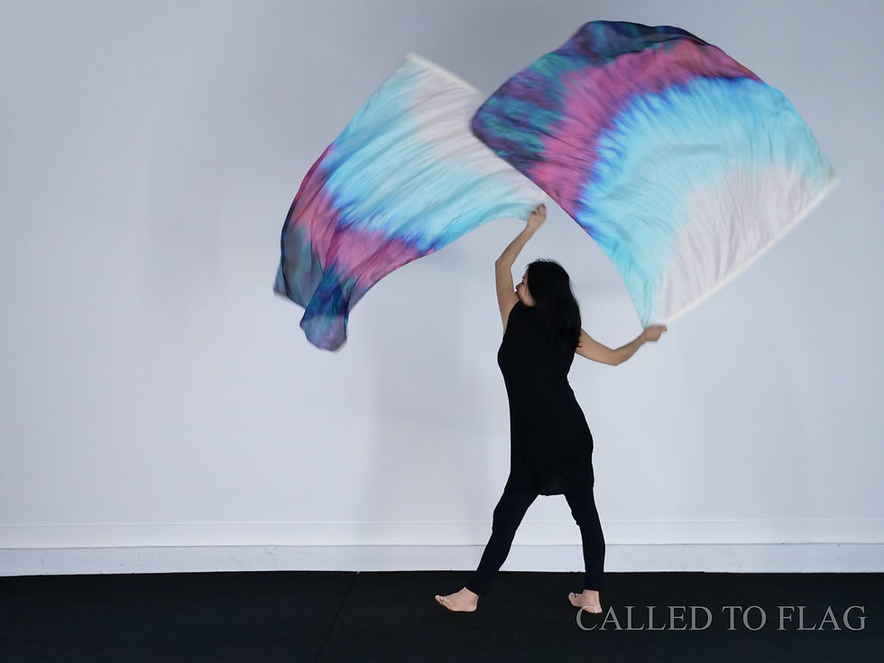 Thumbnail: Standard Size // In The Light of Your Presence // Flags
