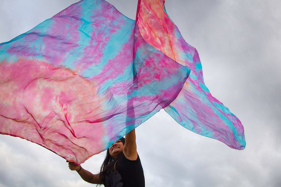 Thumbnail: Shine On Us // Silk Flags