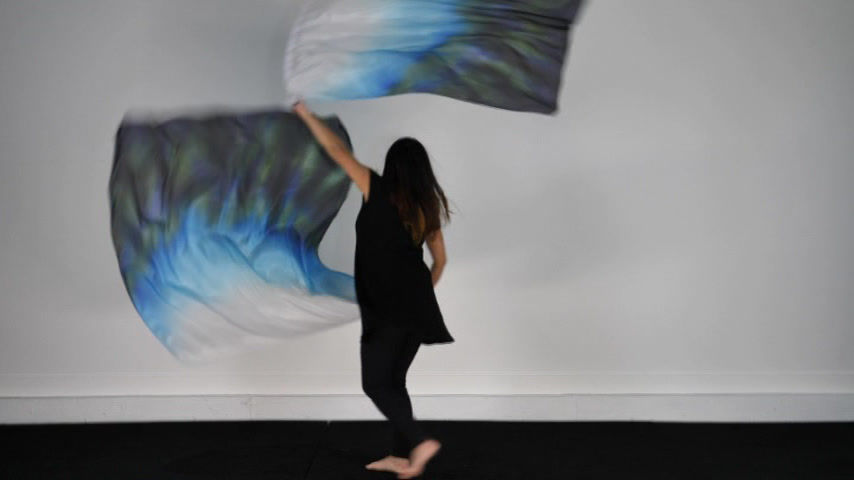 Thumbnail: Large Size // Seeing the Unseen // Silk Flags (Set of 2)