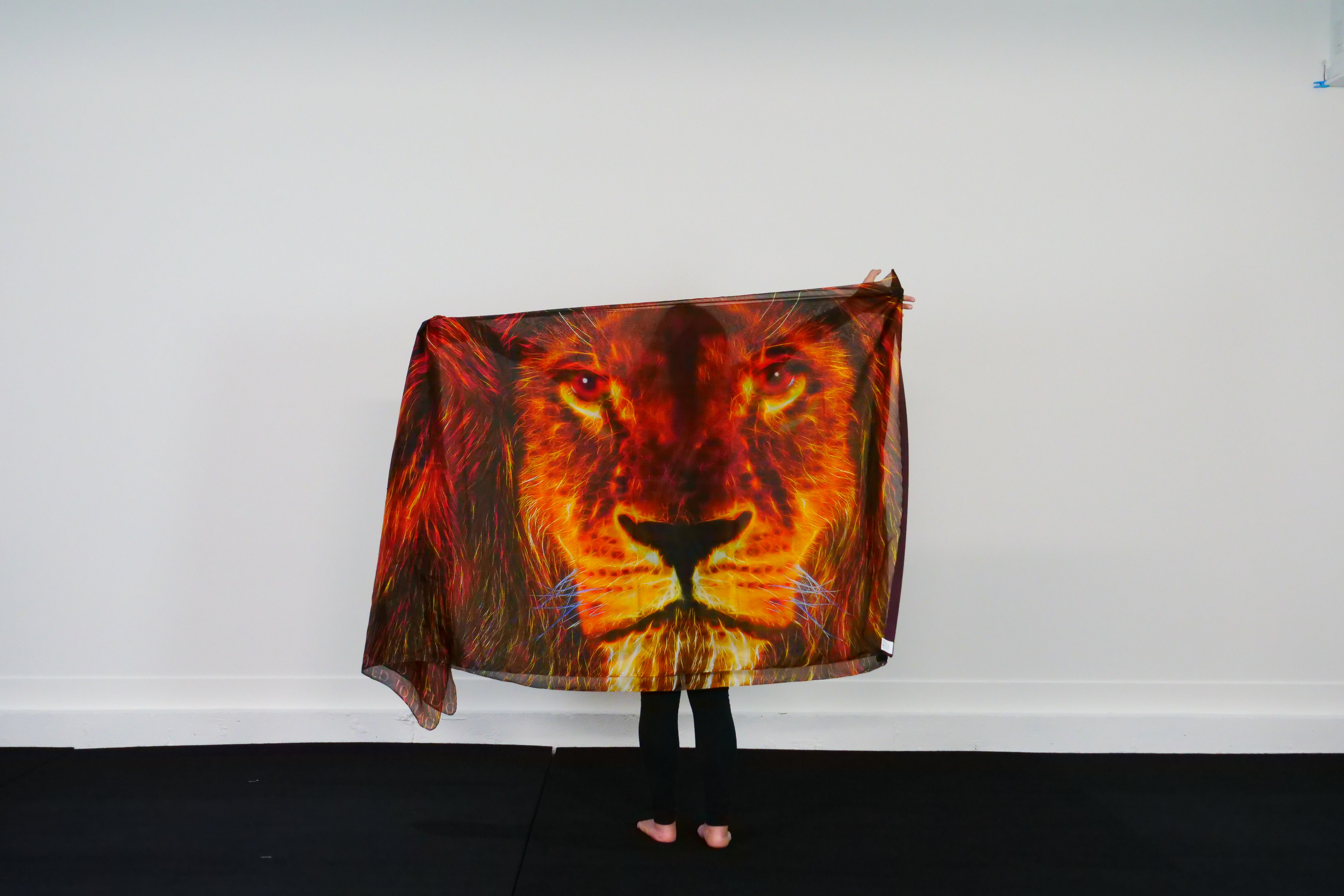 Extra Long // Lion's Roar // Flag(s) - from $135