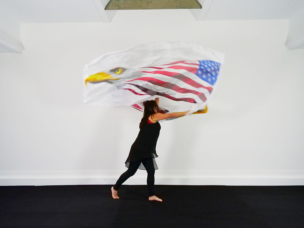 Medium Long // USA with Eagle // Silk Flags (Set of 2)