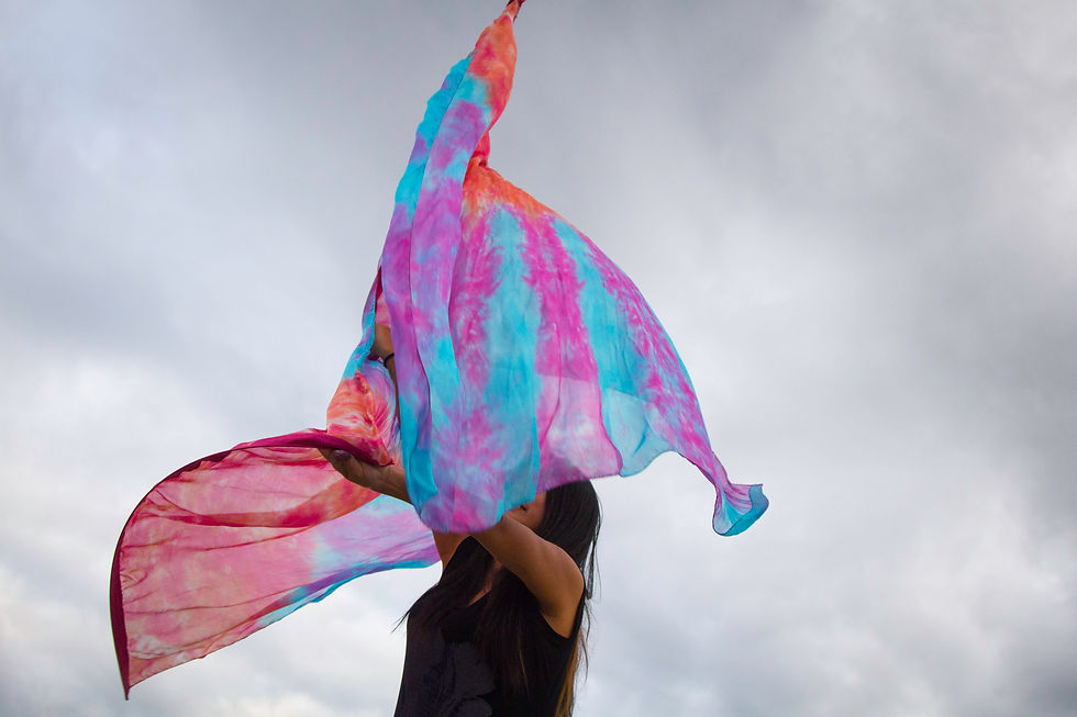 Thumbnail: Shine On Us // Silk Flags