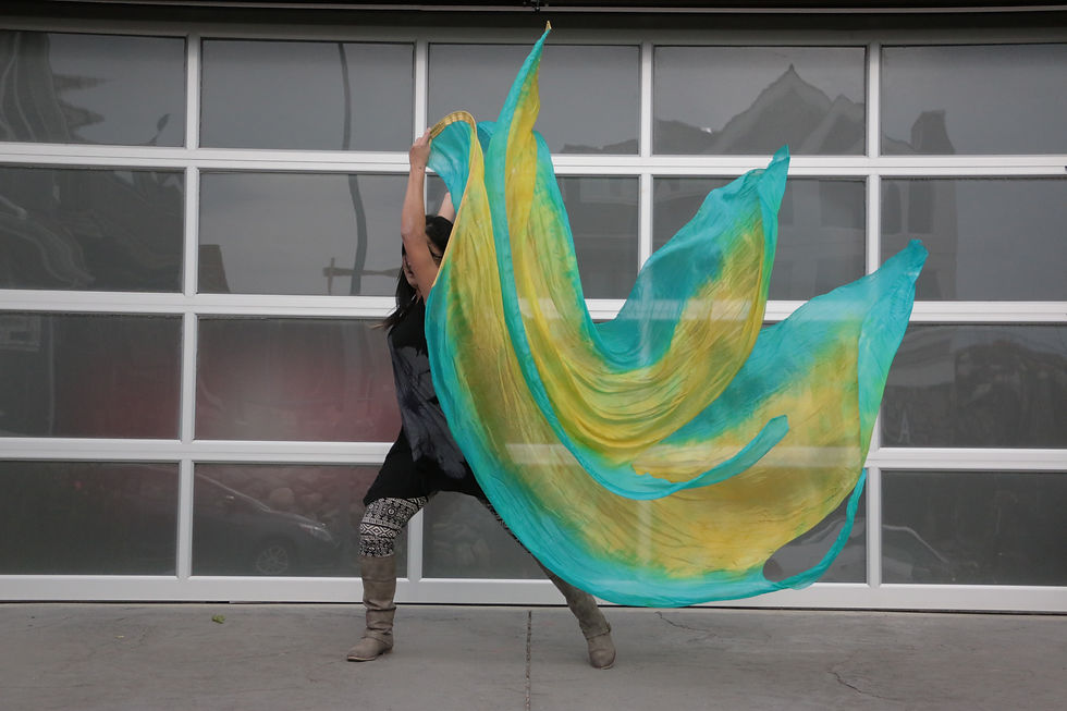 Thumbnail: Silk Flags Annointed worship flags