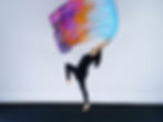 Thumbnail: +Large Size // Radical Encounter // Silk Flags (Set of 2)